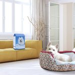 Nobleza 48WQB - Puppy Training Pads - 60 x 40 cm - Zindelijkheidstraining -30 Stuks - Afbeelding 6